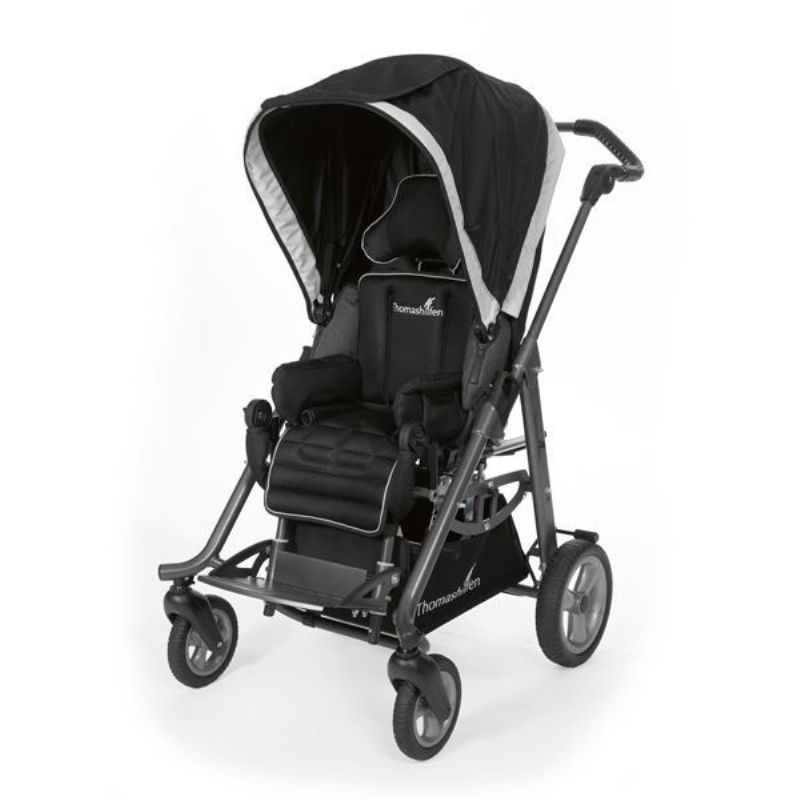 Accessories for EASyS Modular Special Needs Stroller Picture