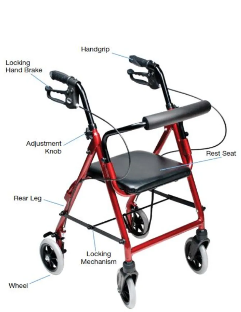 Lumex Walkabout Junior Pediatric Rollator Walker by Graham Field