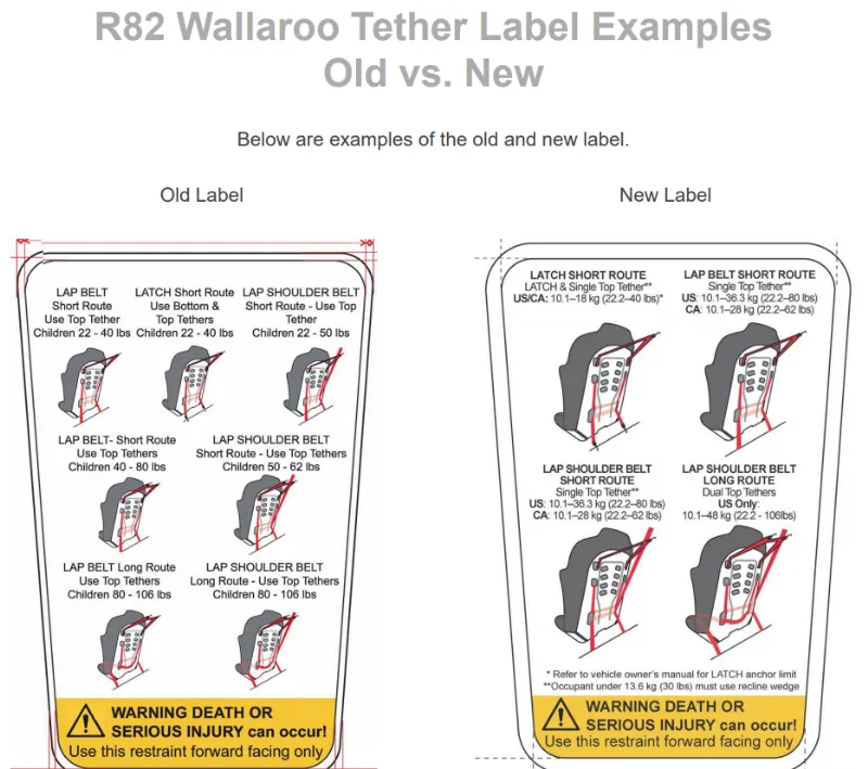 Wallaroo Special Needs Car Seat by R82 FREE Shipping