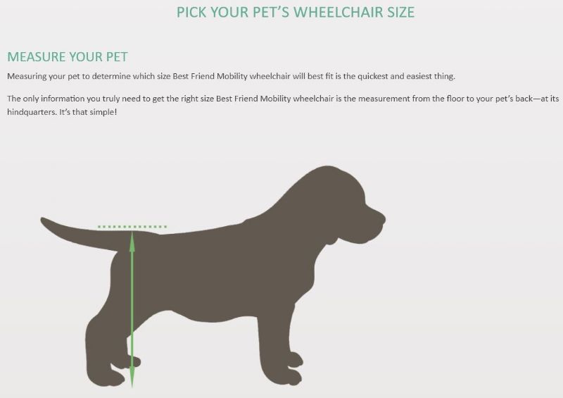 Rear Support Wheelchair for Dogs by Best Friend Mobility Picture
