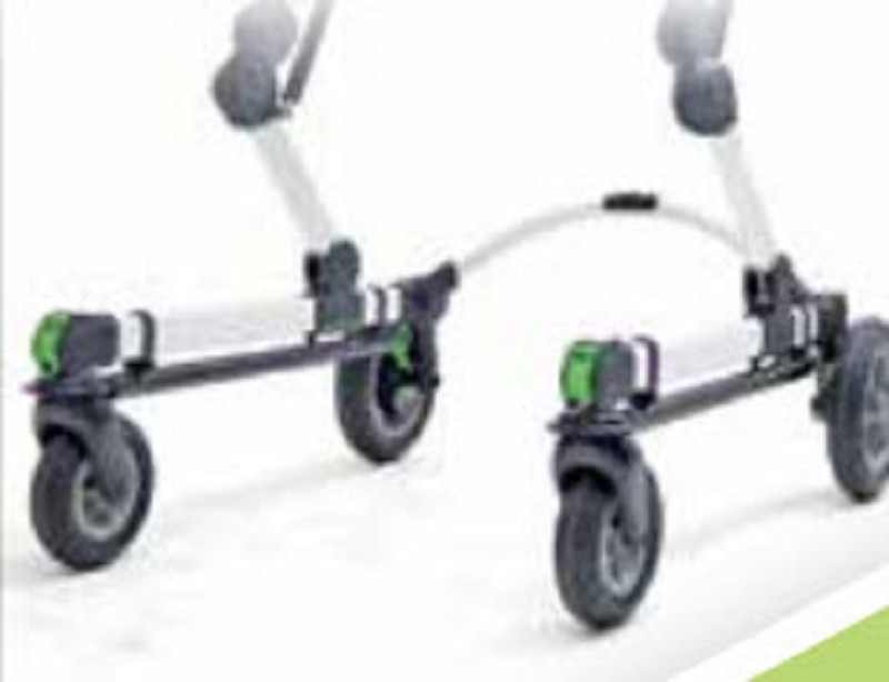 Grillo Gait Trainer Accessories FREE Shipping
