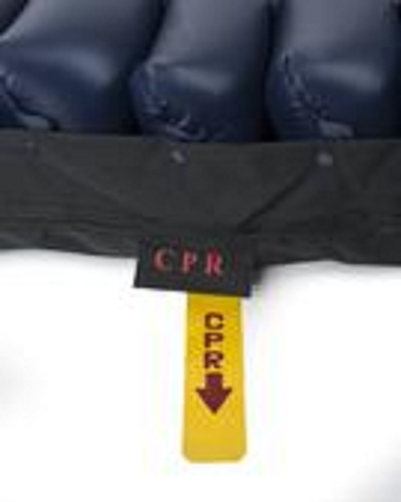 Oasis Alternating Pressure Mattress FREE Shipping