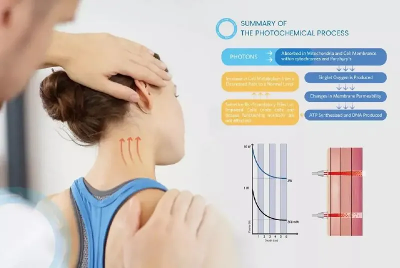 Cold Laser Therapy 101 Getting Started With LowLevel Laser Therapy