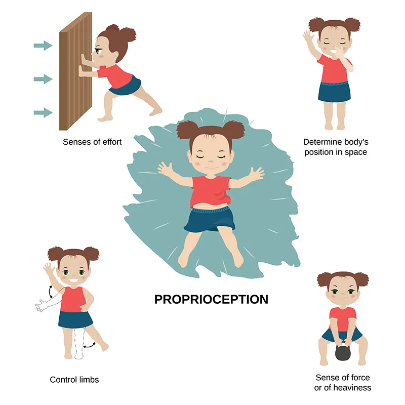 proprioceptive-diagram