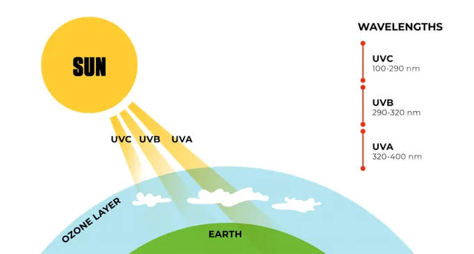 Types of uv lamps discount