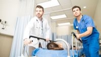 5 Best Hospital Gurneys - [Updated for 2021]