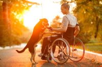 How to Choose the Best Wheelchair [Updated for 2020]