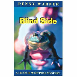 the blind side book kandi