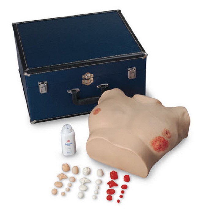 Lifeform Breast Examination Model FREE Shipping
